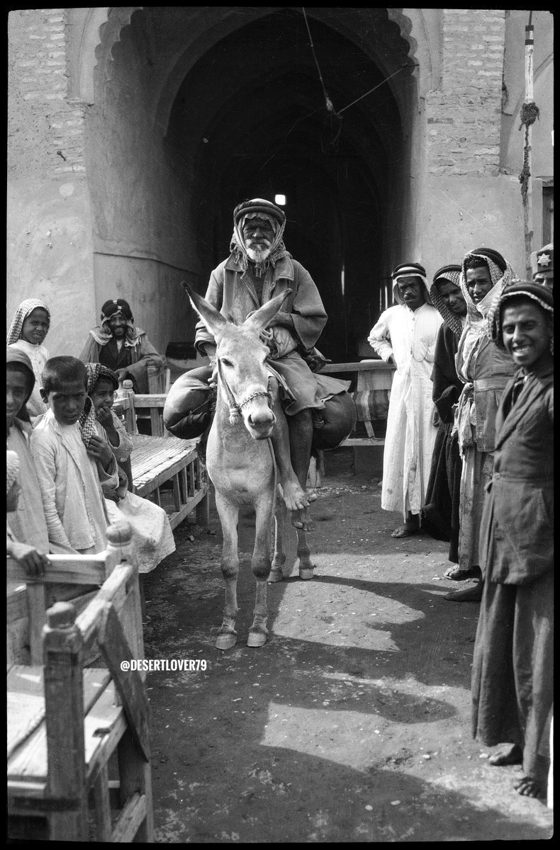 محمد ناصر الخليفة tweet media