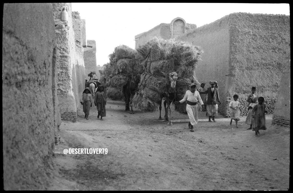 محمد ناصر الخليفة tweet media