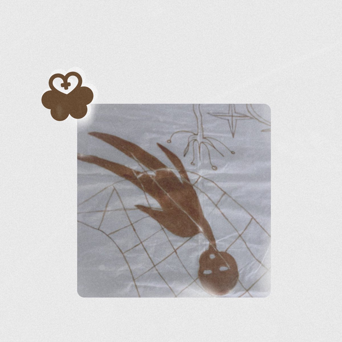 shen🔻 tweet media