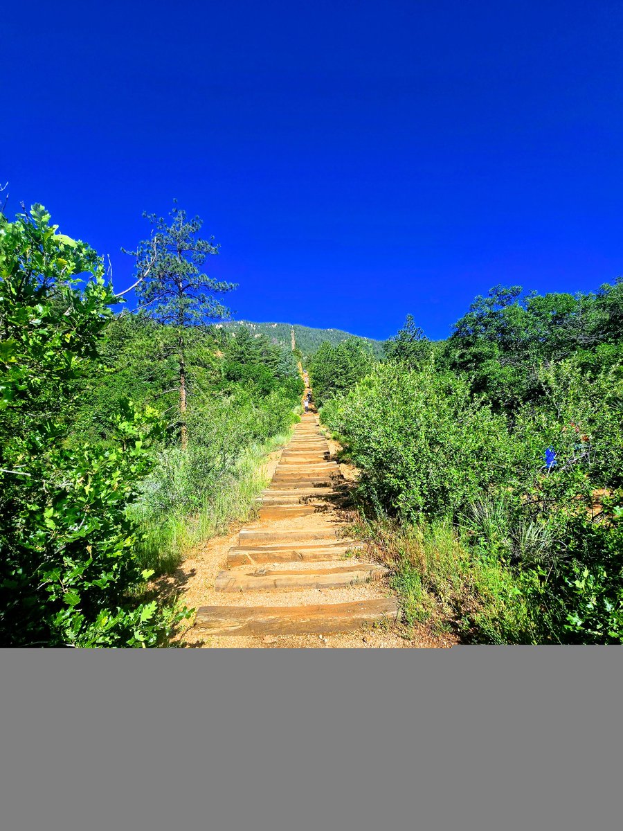 Montezuma tweet media