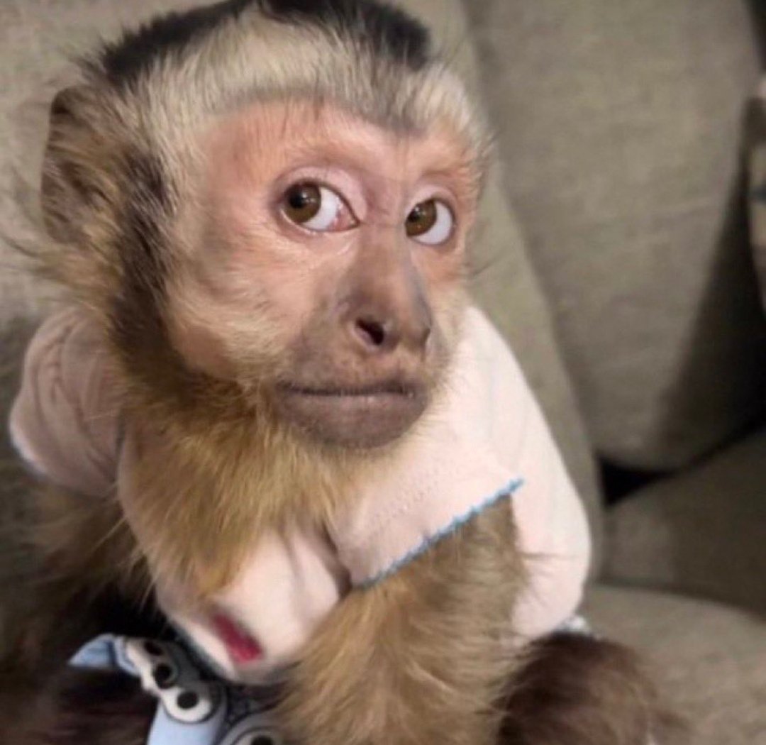 Gabriela Lopez P tweet media