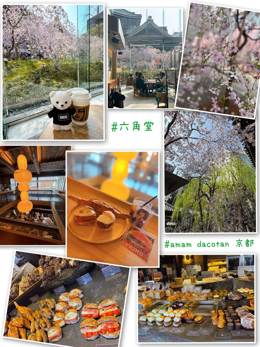 MONTA32🐢🩵💙🐯📦 tweet media