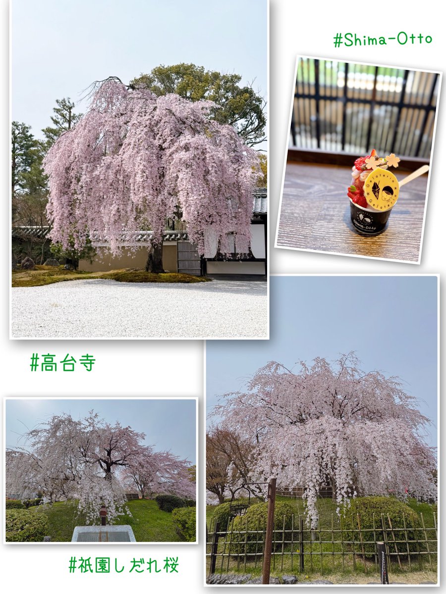 MONTA32🐢🩵💙🐯📦 tweet media