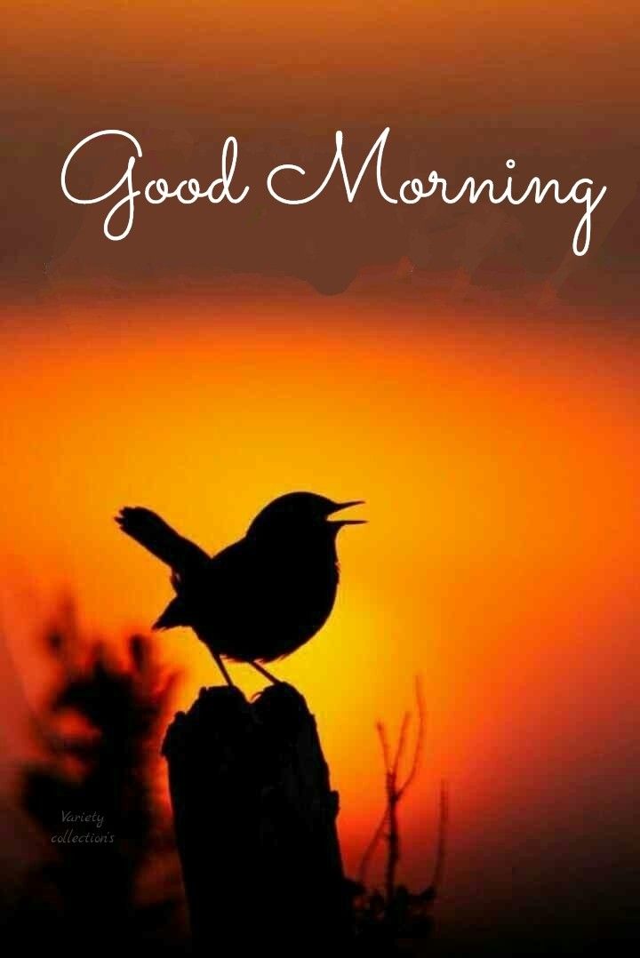 Sawan 🇮🇳 tweet media