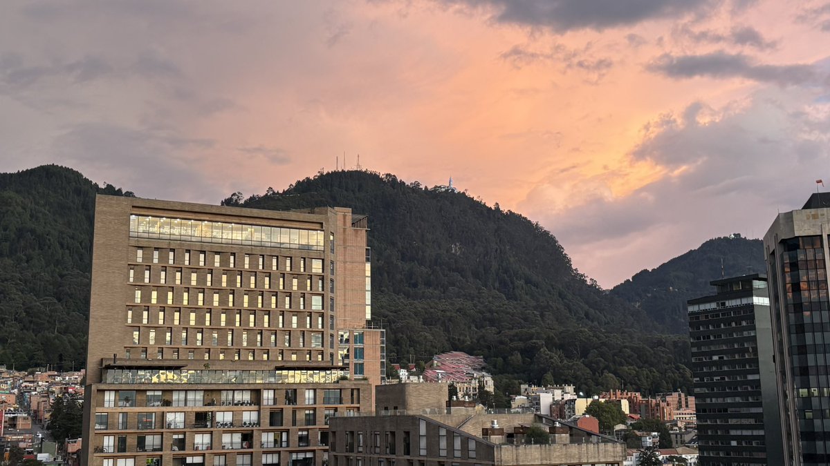 Lorena Castañeda tweet media