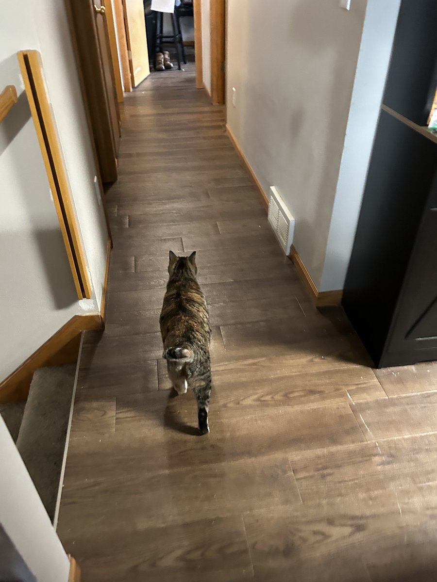 Ellie Belly tweet media