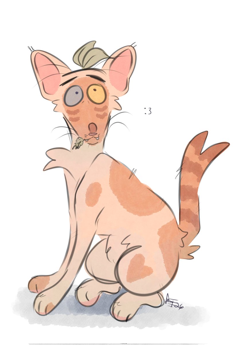 —⟩ Jay/JJ 🐈🌴 tweet media