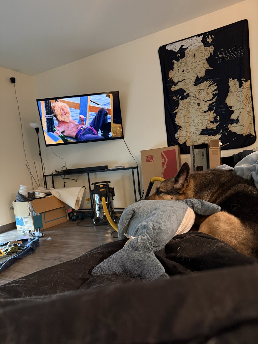 ₦ Ɨ ₭ ₭ Ɨ tweet media