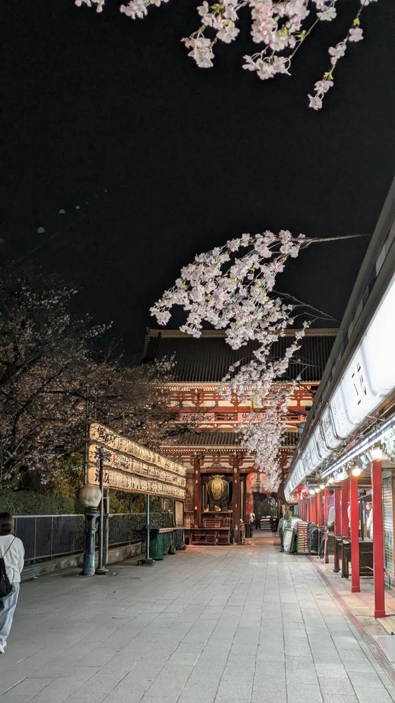 三ツ星食器 tweet media