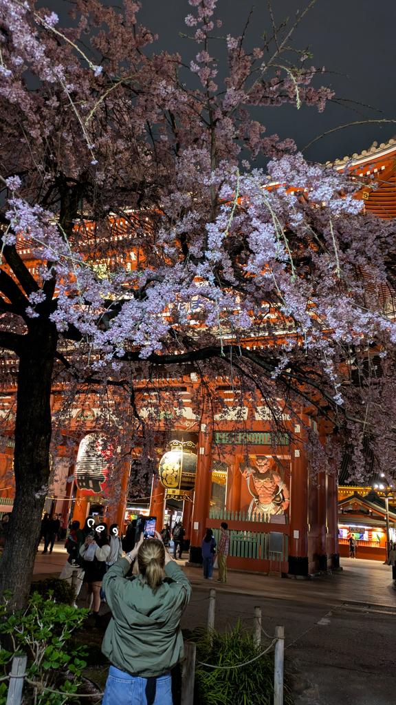 三ツ星食器 tweet media