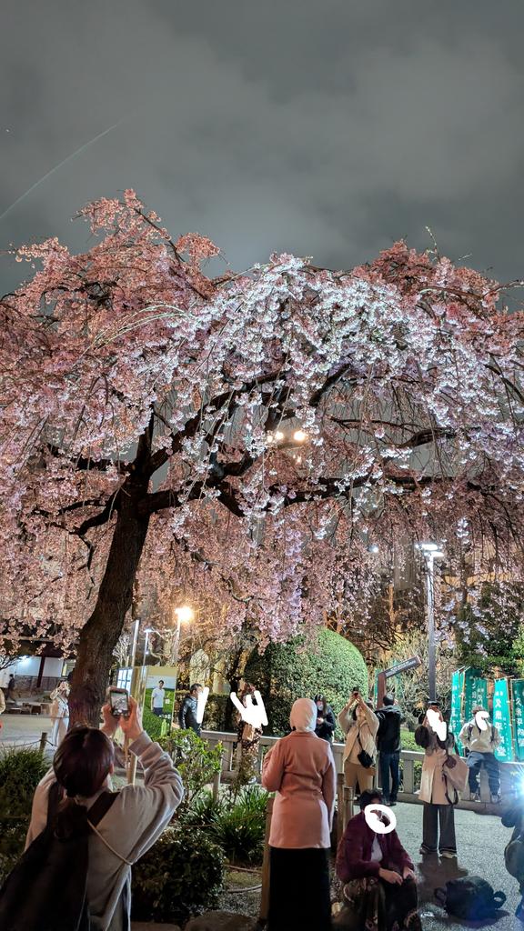 三ツ星食器 tweet media