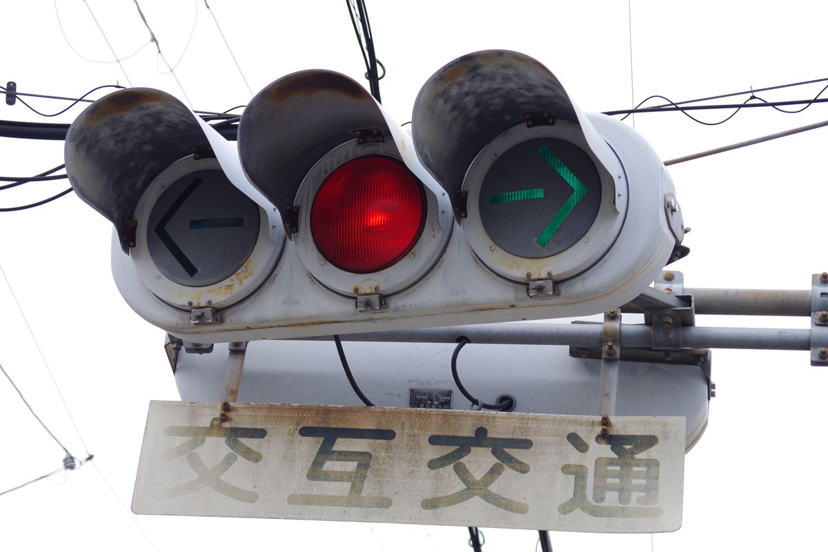 #撮り信
あやめ池
現役時代