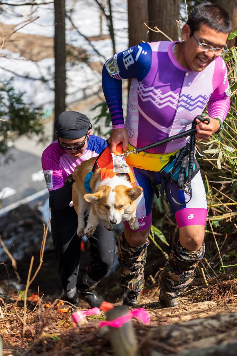 Kazutaka Inoue photo account tweet media