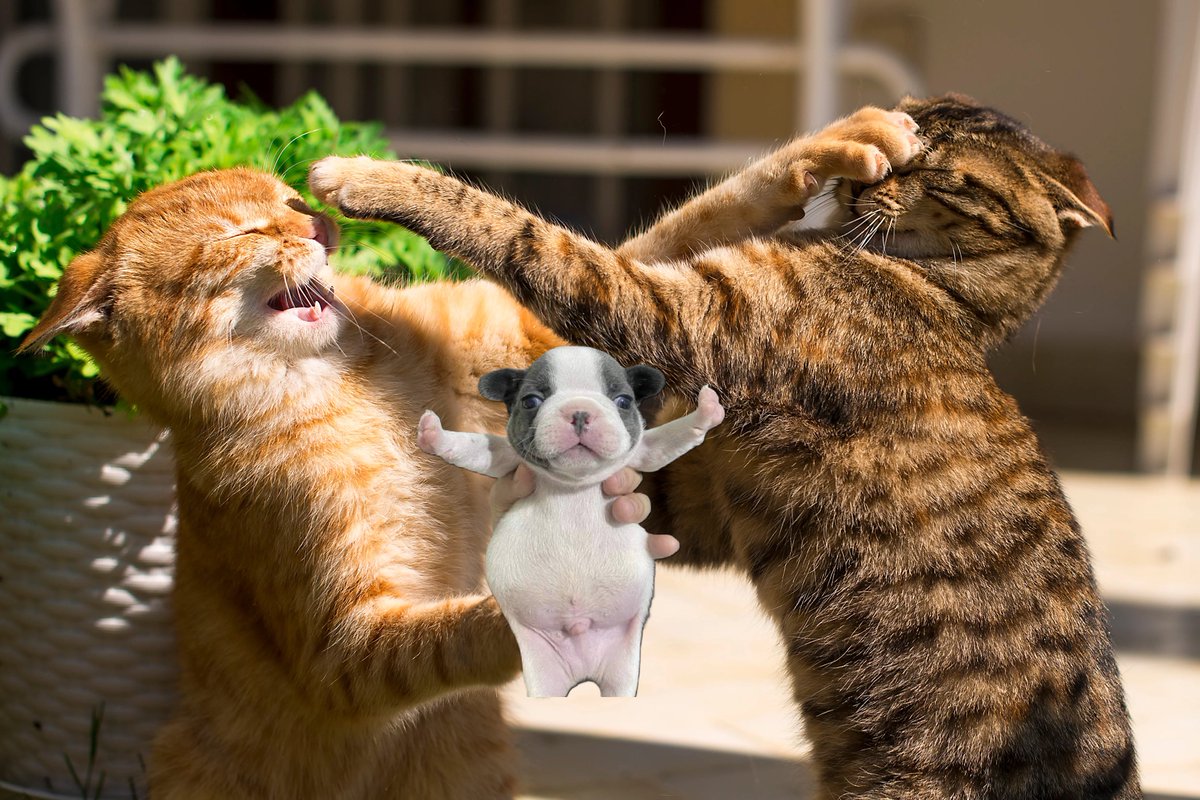 Razor --Commissions Open-- tweet media