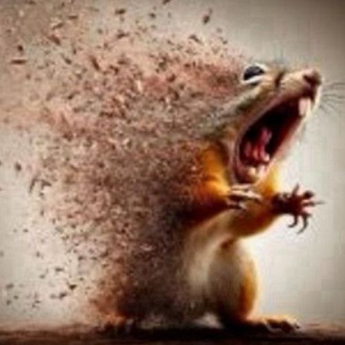 ★🏳️⚧️ ~ Sky ~🏳️⚧️ ★ tweet media