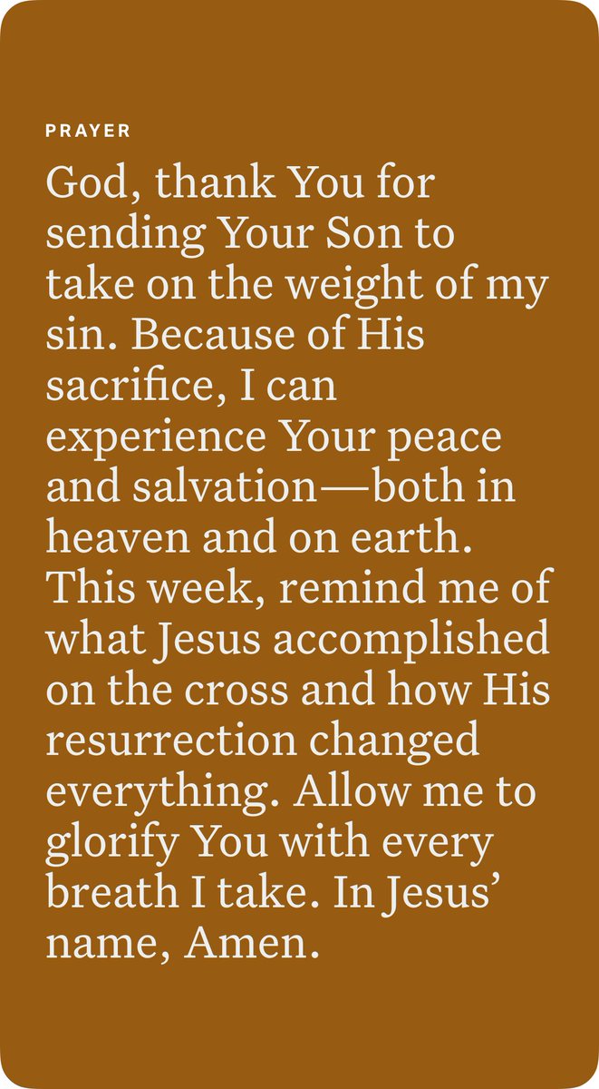 Lawndart🇺🇸 tweet media