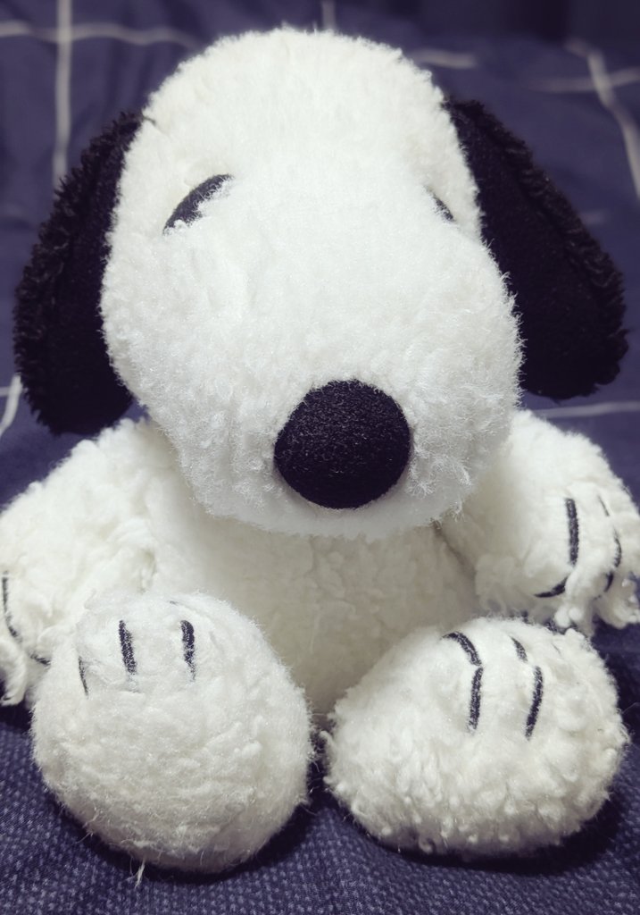 🖤🤍🤍🖤 tweet media