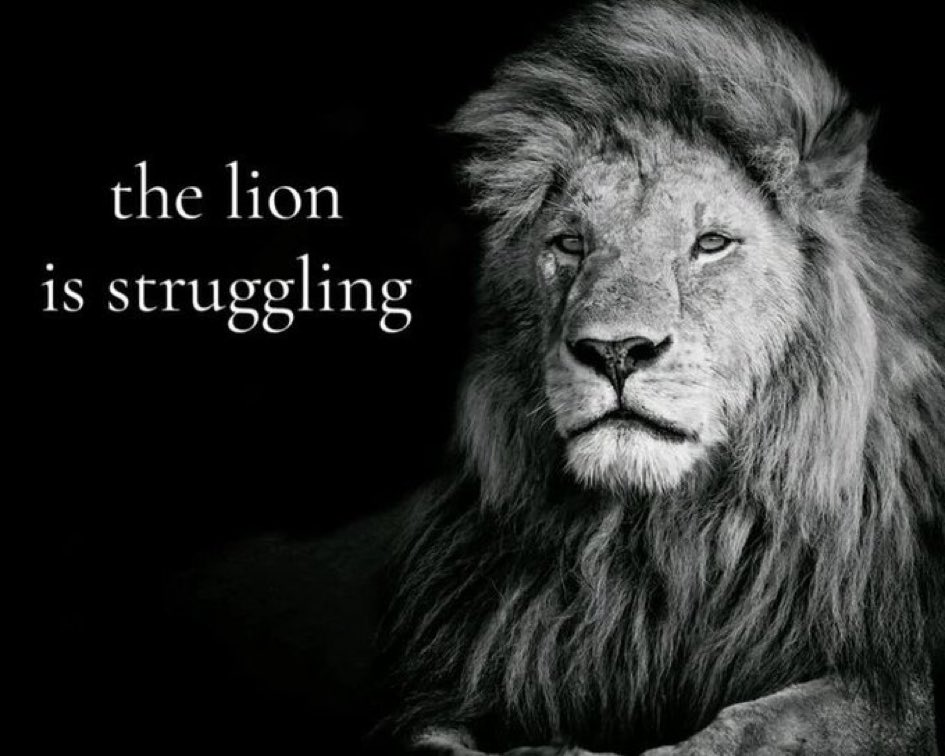 clara pinto silva 🍉🇵🇸 tweet media