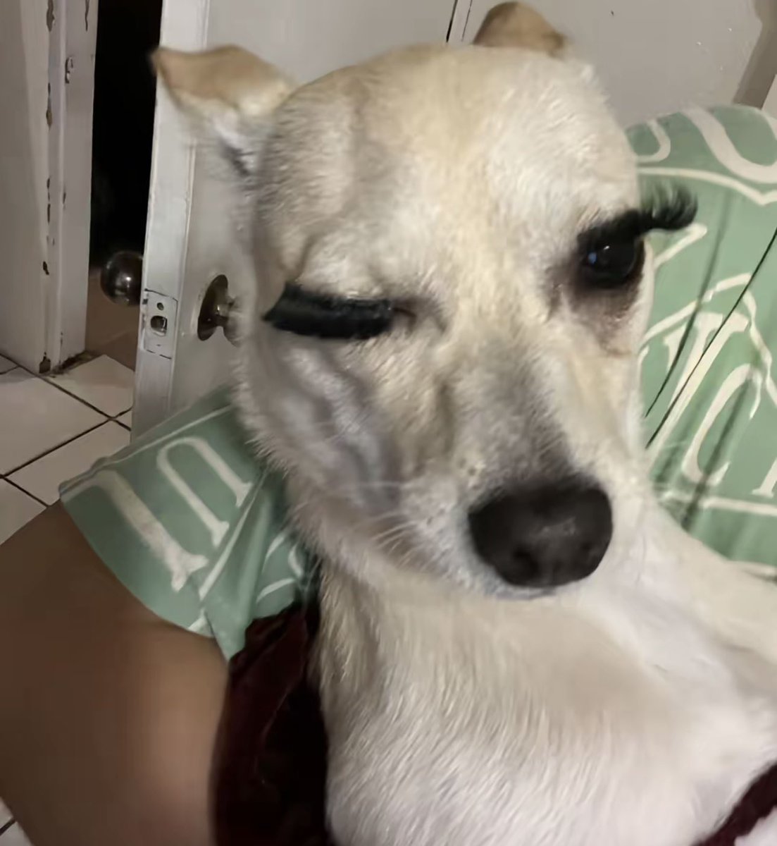 busty father tweet media