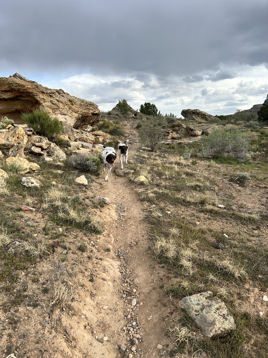 John Howard tweet media