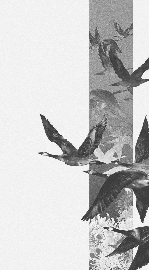 لحظة _نقية tweet media