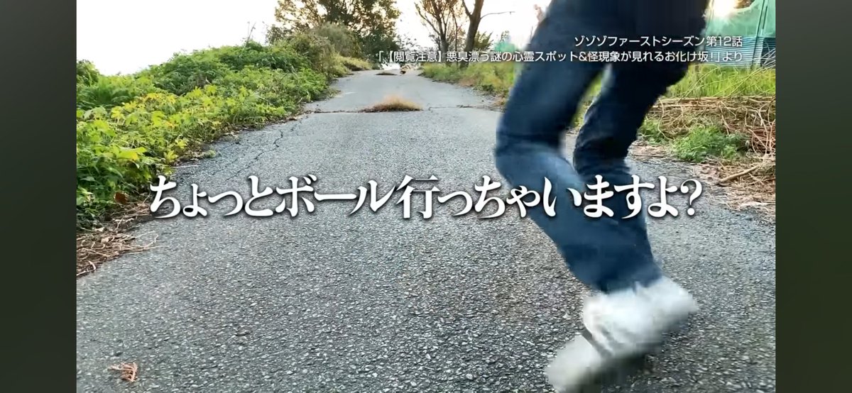 やすぴー☆野球の季節☆ tweet media