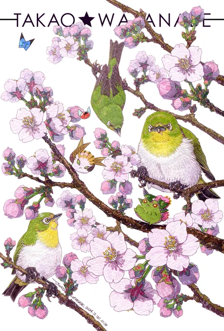 『お花見しましょ』