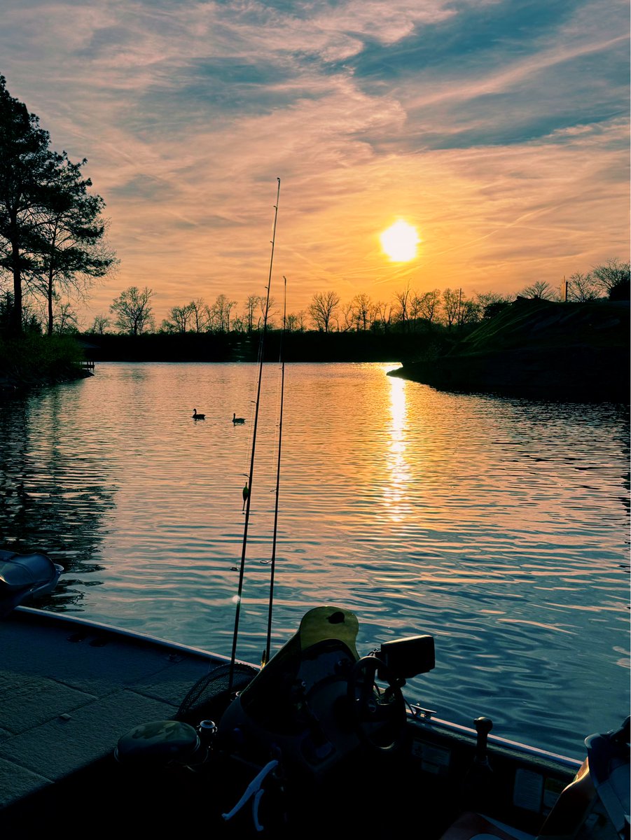 Music, Film & RE Investments tweet media