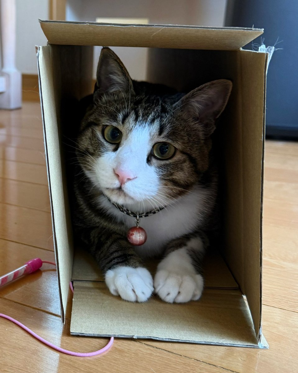 Kamui_310 tweet media