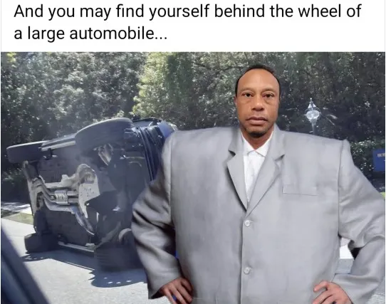 Brown Eyed Susan tweet media