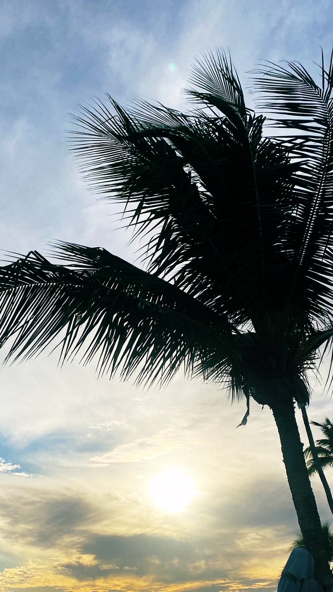 BrynerMartinez's tweet photo. sunday at the beach is the best thing that ever happen. https://t.co/gYDtbd5j2q