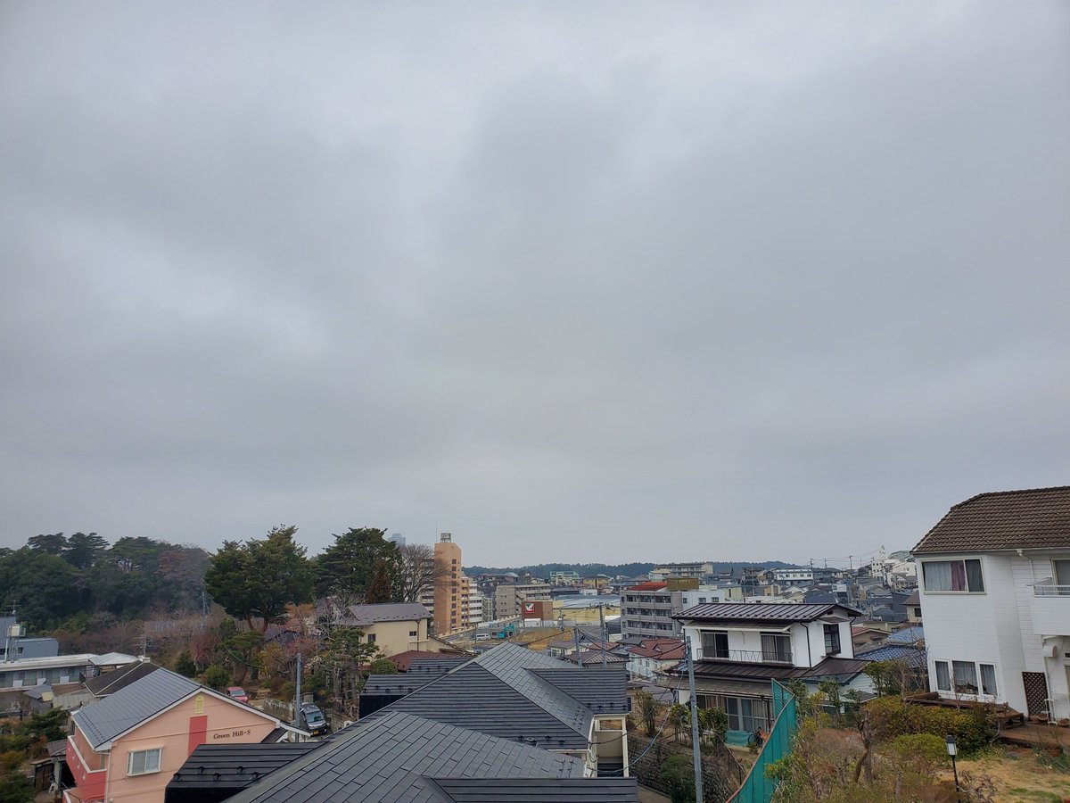 仙台の空・保護にゃんこミーとフク tweet media