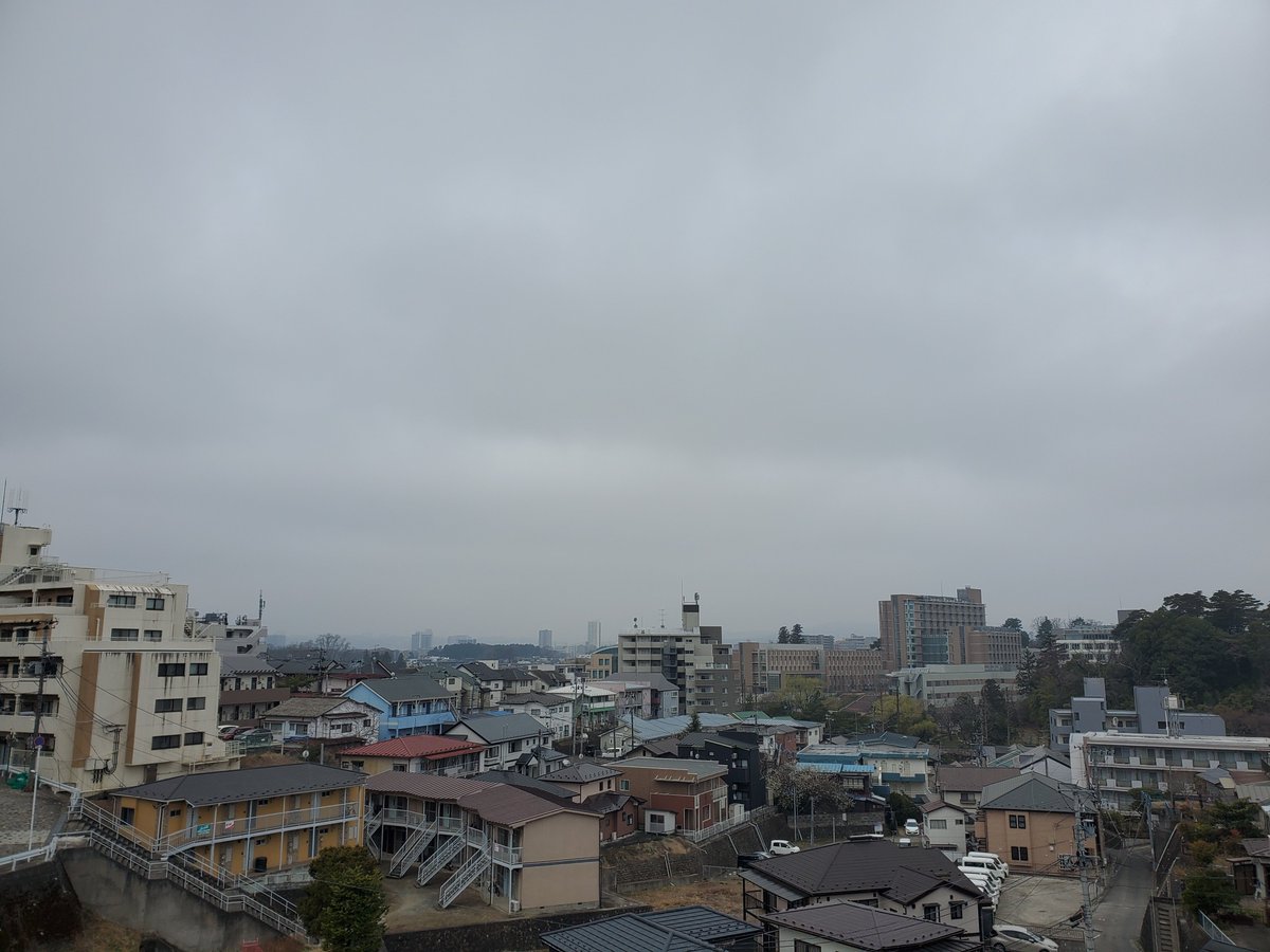 仙台の空・保護にゃんこミーとフク tweet media