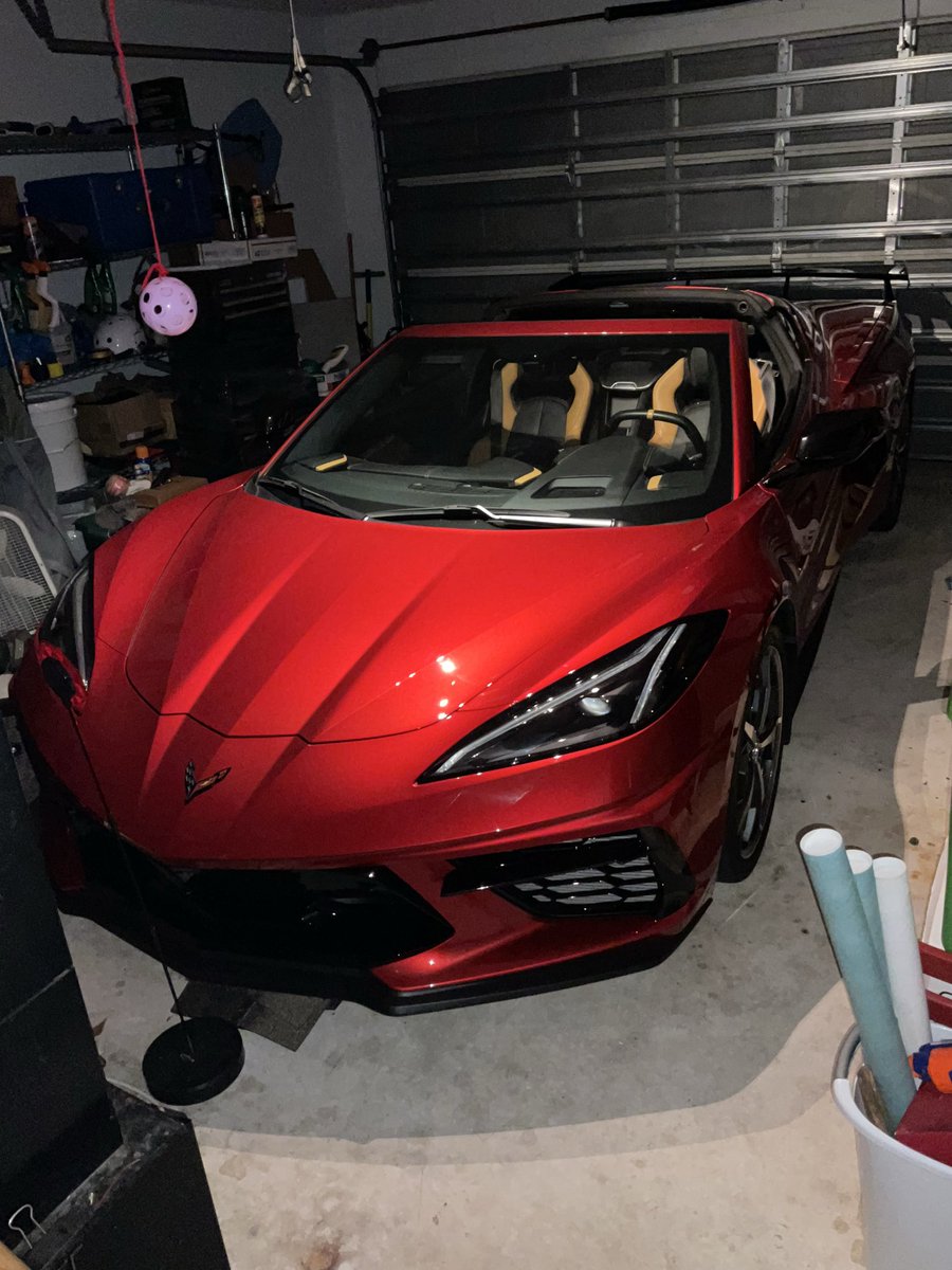 Squirrel tweet media