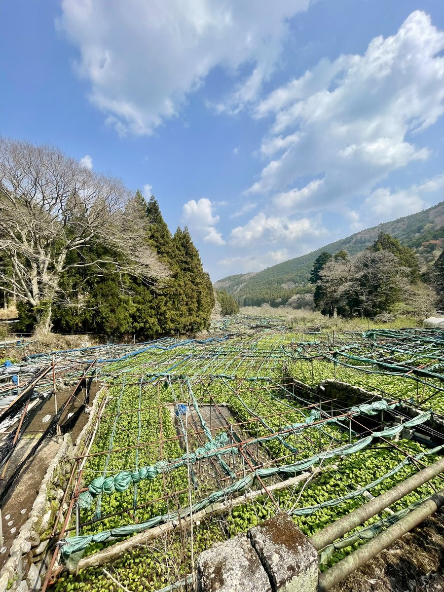 かえん tweet media