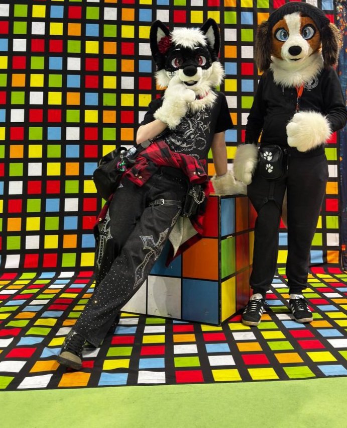 BeanThePunk 🔜CFZ tweet media