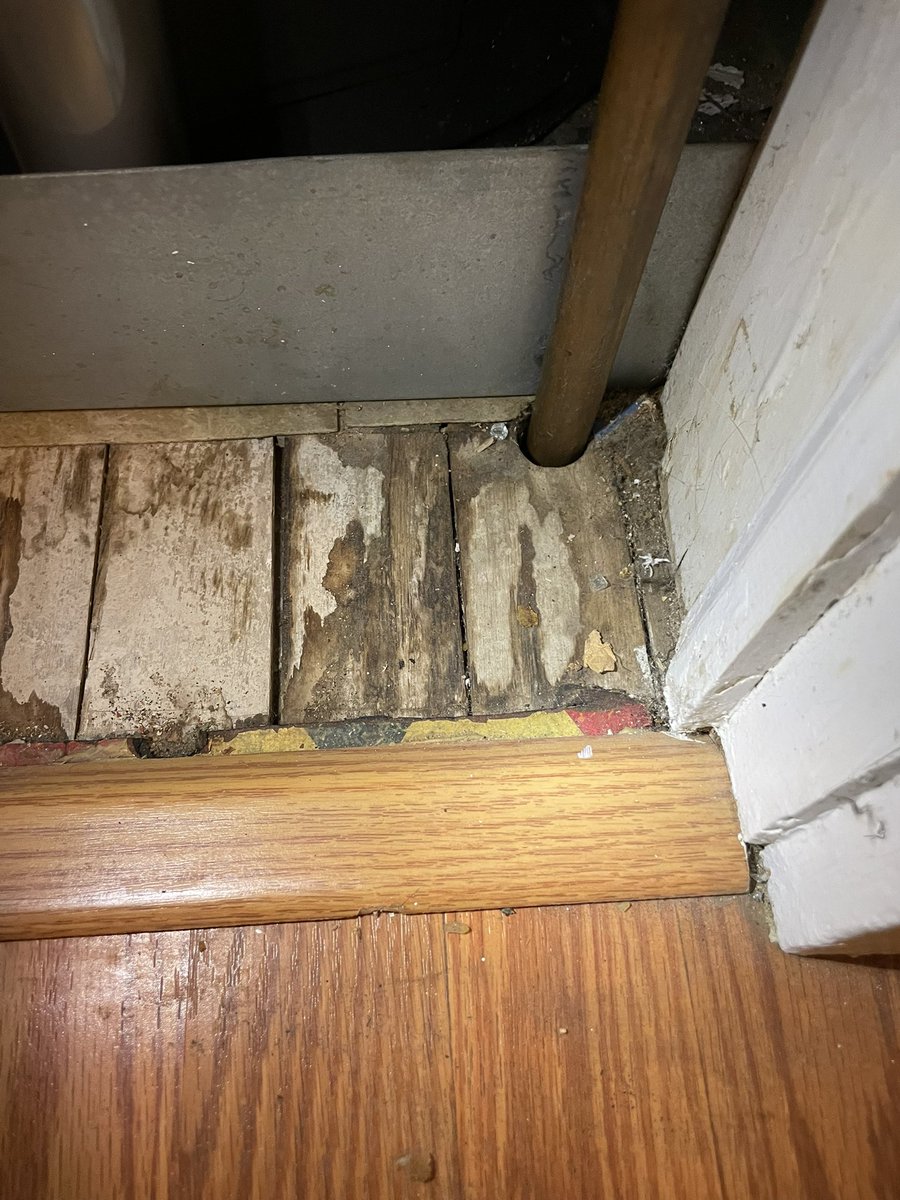 Leslie Sage 🏳️‍🌈 tweet media