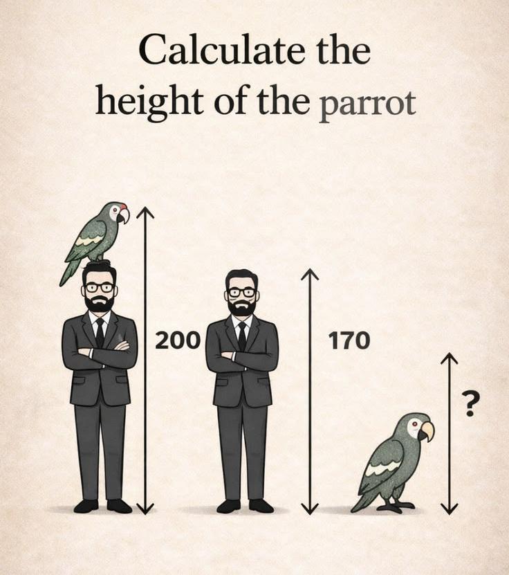 X GIRL 🇺🇸 tweet media