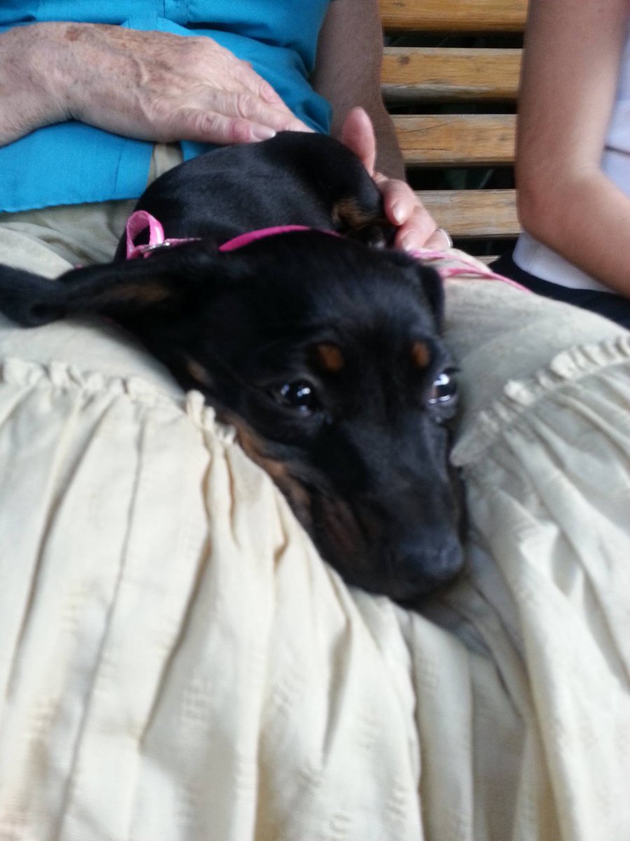 berni🐼✨ tweet media