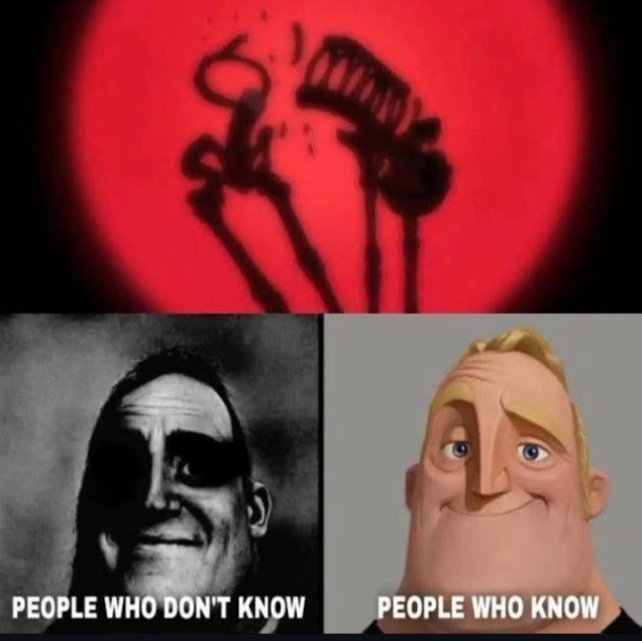 One Piece Daily tweet media