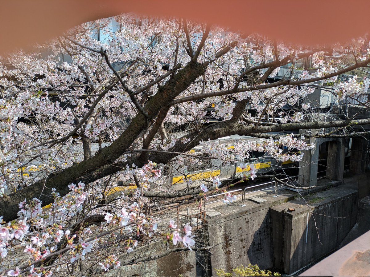 ふゆの tweet media