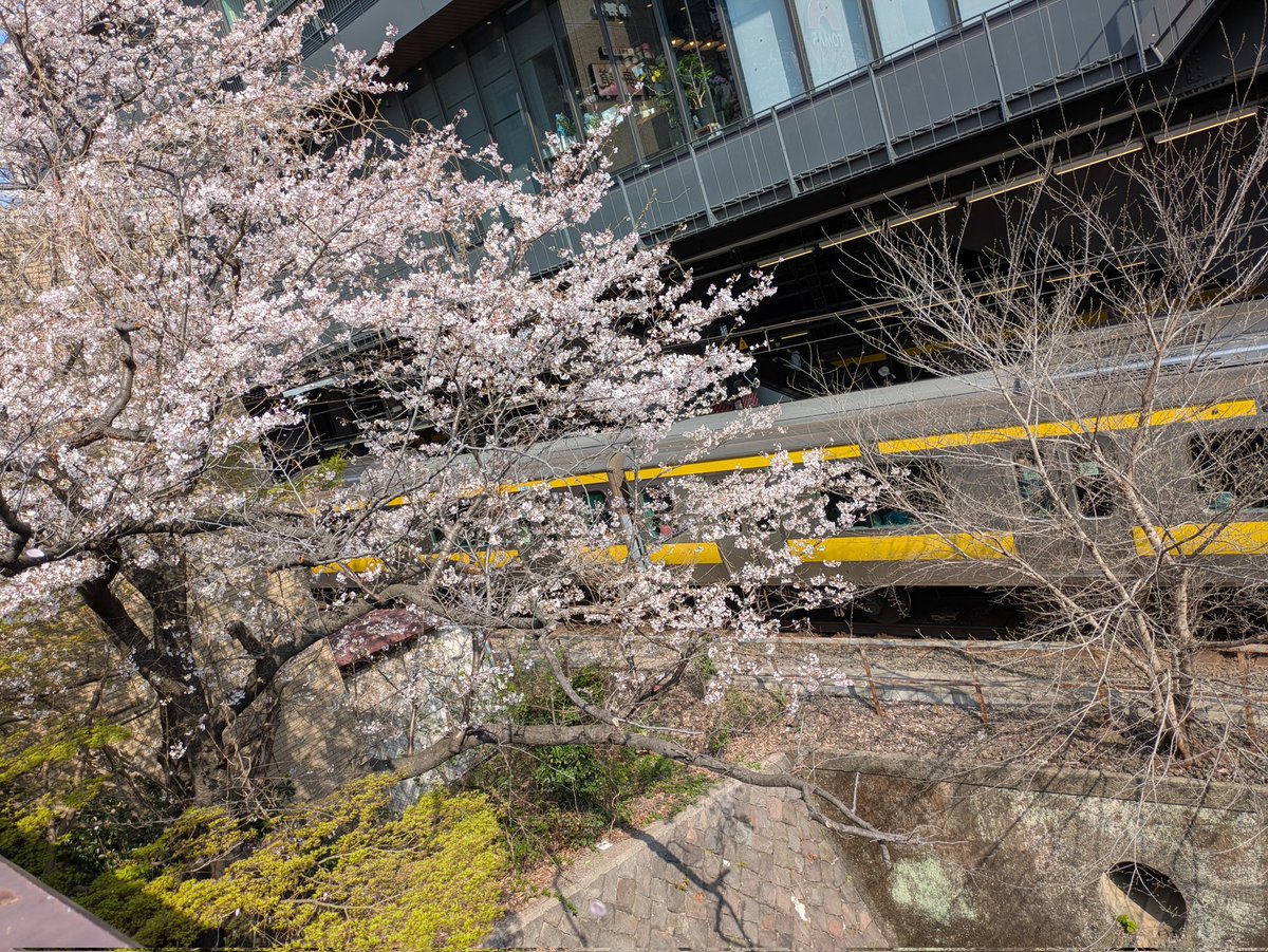 ふゆの tweet media