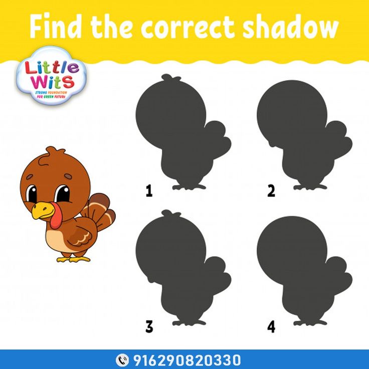 xylomyst✨ tweet media