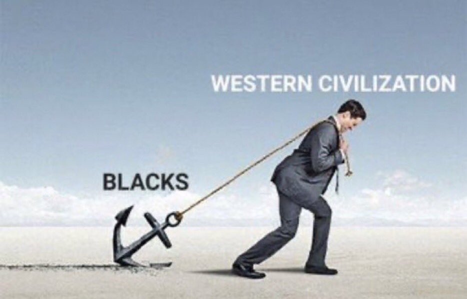 Parker Straley tweet media