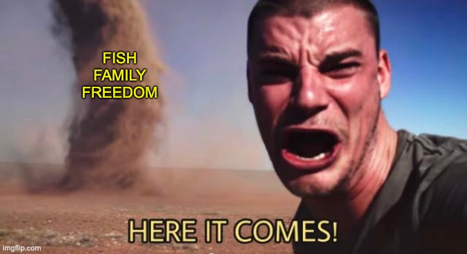 Mary Peltola tweet media