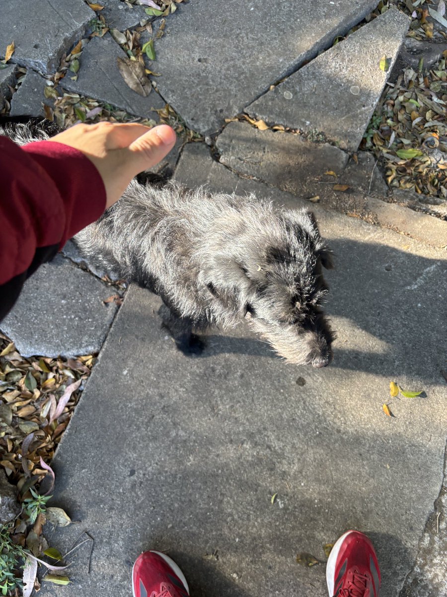 Joseee 🏎️🏁 tweet media