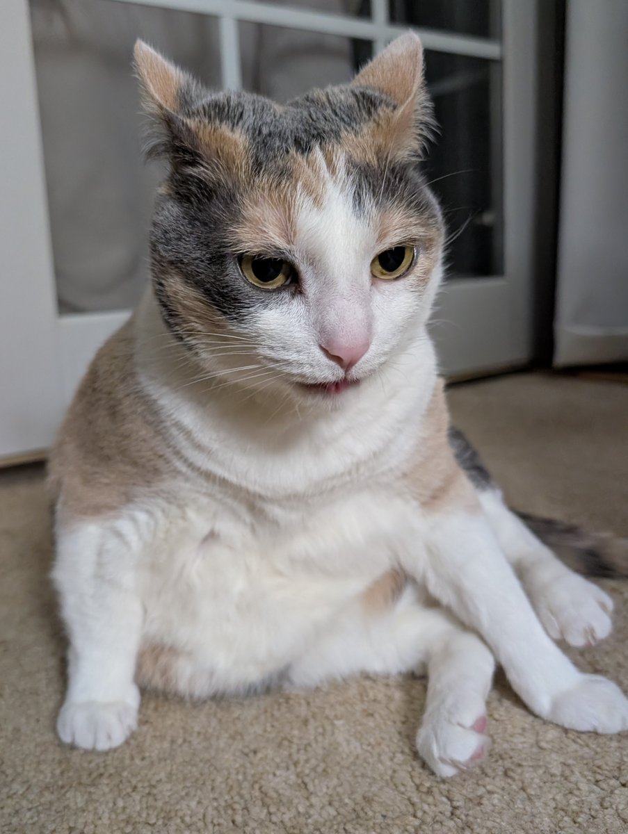 Skuttlebutt tweet media