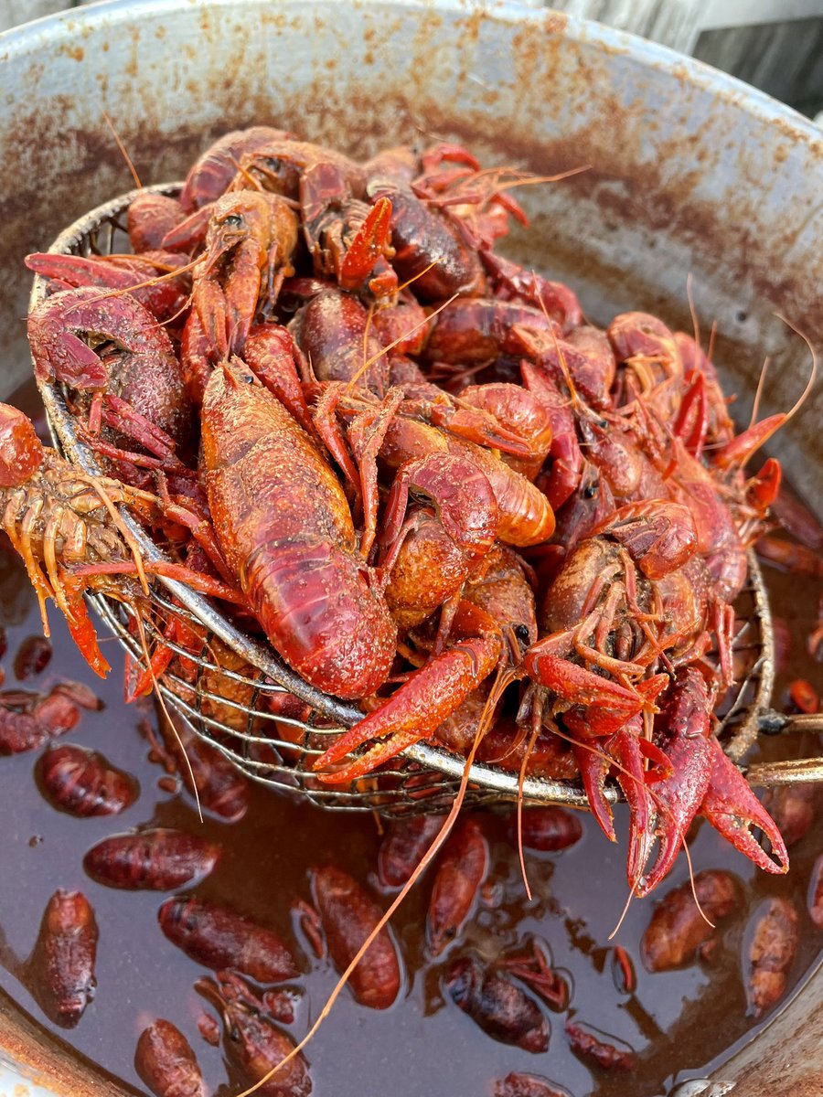 ragincajunhou's tweet image. Sunday Supper!  Boiled Seafood
#crawfish #shrimp #snowcrab #lobster 
#sunday #dinner