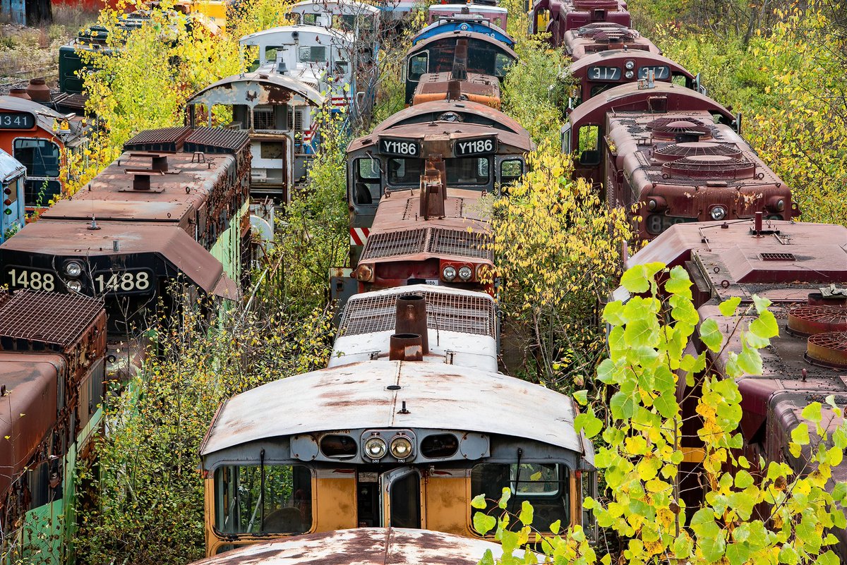 Mr. P. Explores tweet media