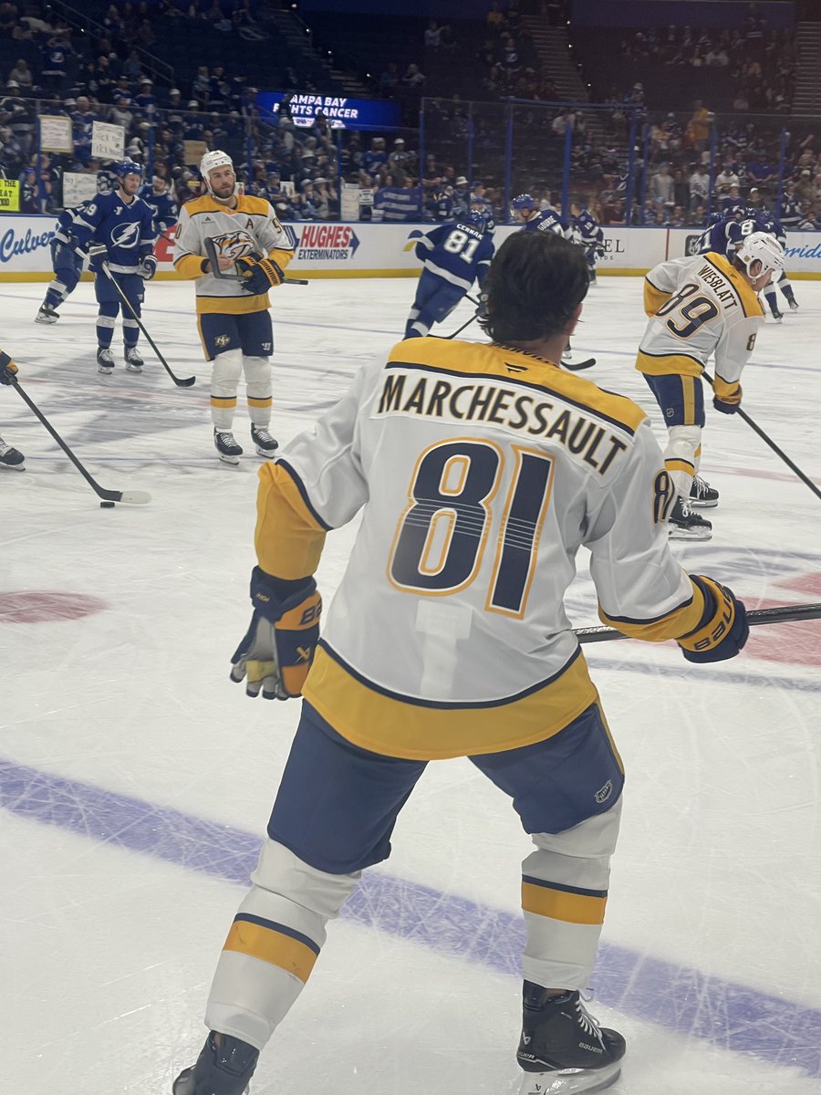 Taylor: The Pred Head tweet media